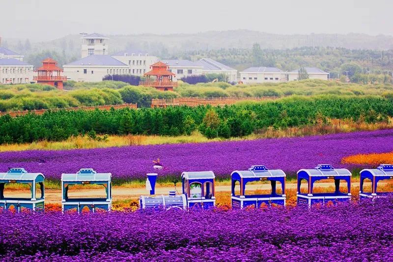 来打卡！锡林郭勒十大网红打卡地