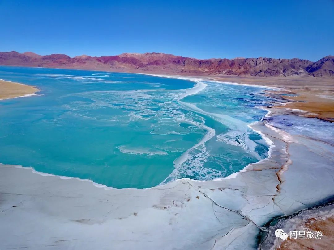西藏最近很火的大地之树,网红大地之树