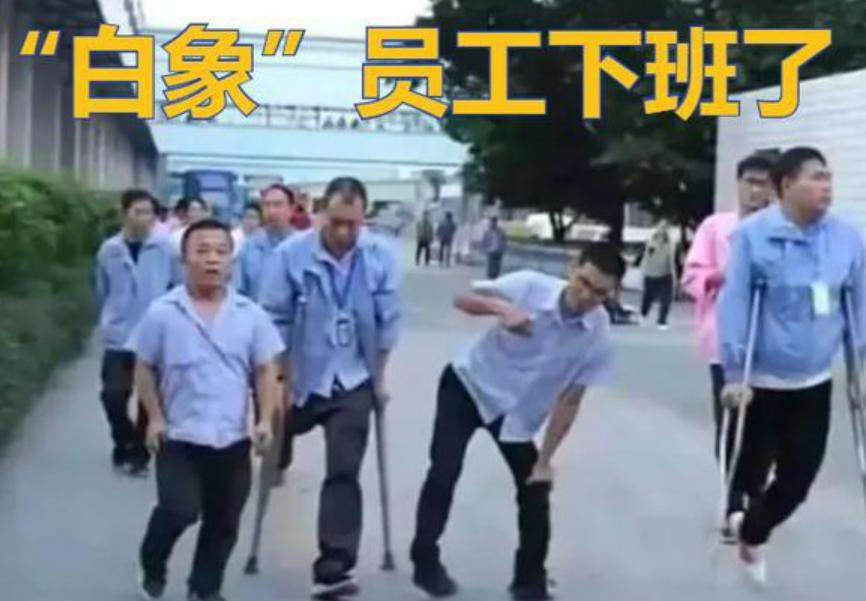 鐧借薄闆嗗洟鏅伐寰呴亣,鐧借薄鍛樺伐鐨勭鍒╁緟閬囨槸鎬庝箞鏍风殑