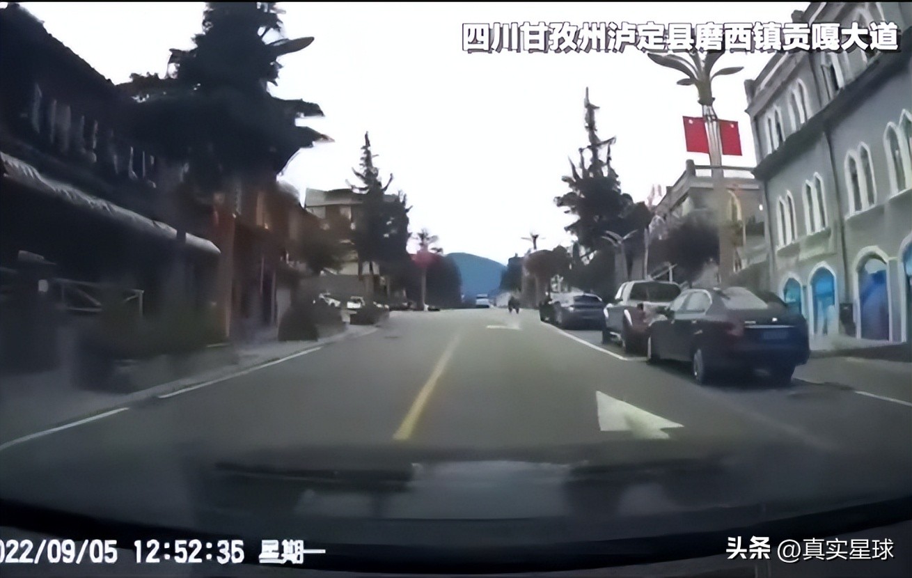 四川泸定6.8级地震伤亡点评,四川泸定6.8级地震伤亡新闻