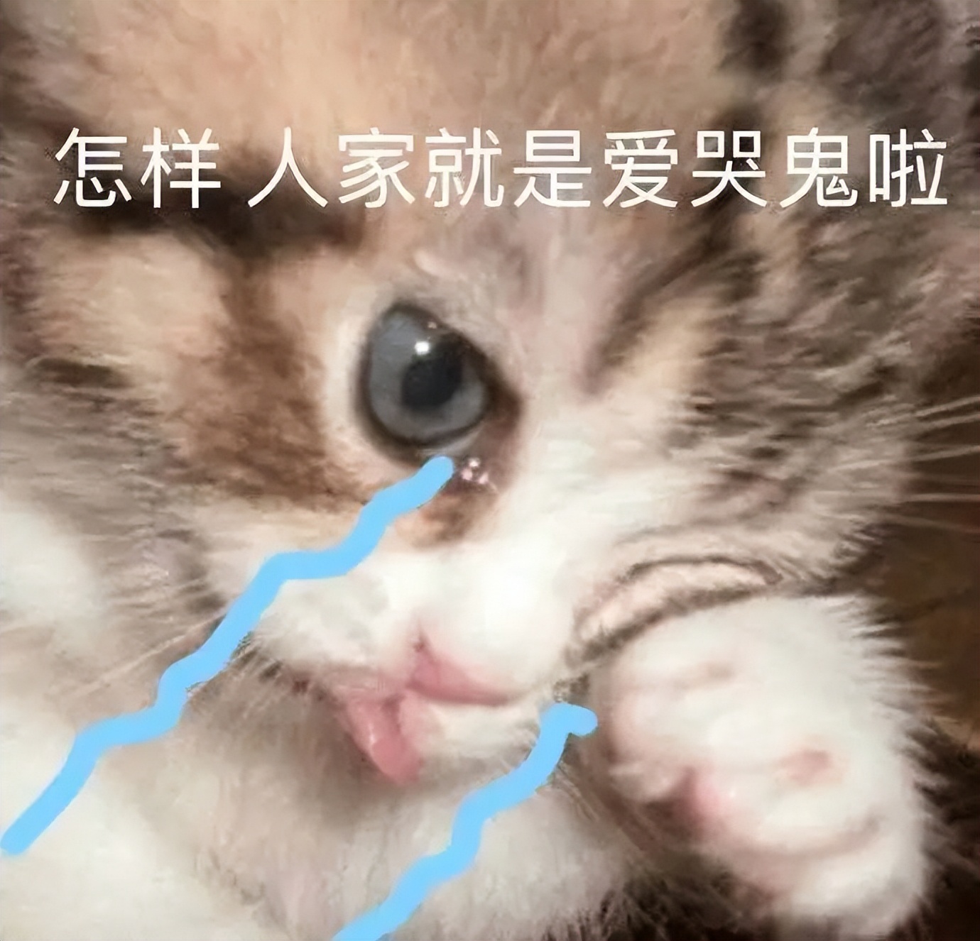 中国单机市场,中国单机手机游戏