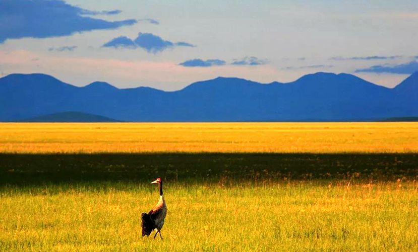 川西阿坝旅游详细攻略地图,川西阿坝旅游攻略三天