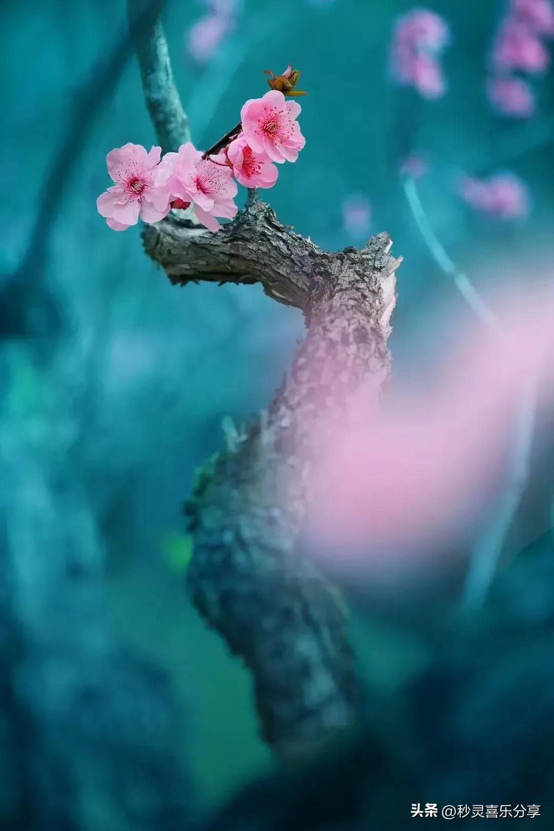 对死因有疑问怎么办,对死亡的疑问怎么解释