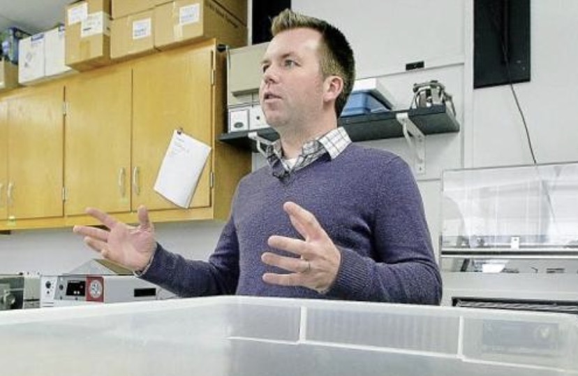 雌性鳄鱼单独繁殖,世界首例雌鳄鱼