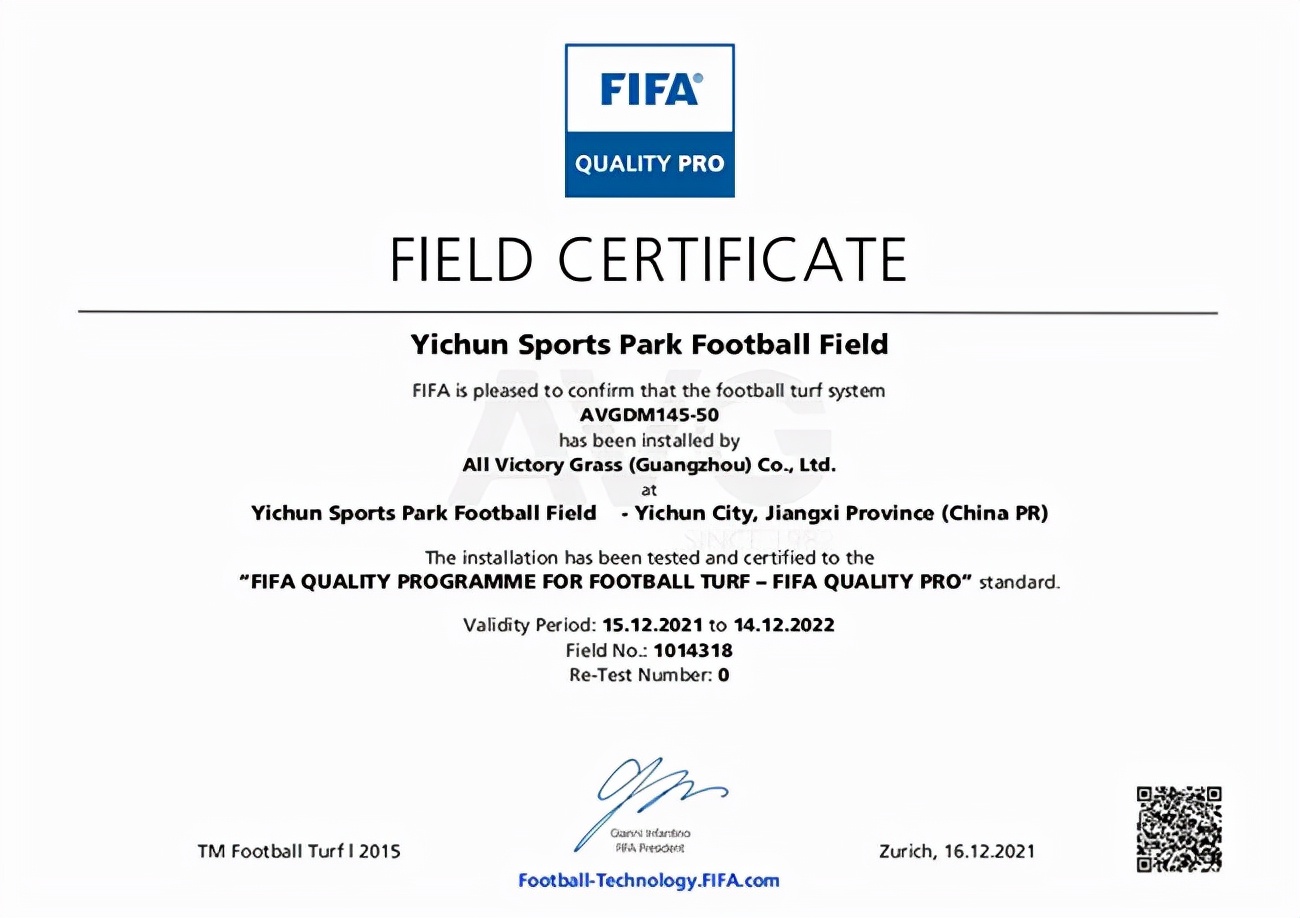 閫氳繃fifa璁よ瘉鐨勮冻鐞冨満,fifa鍥介檯瓒宠仈椤剁骇璧涗簨