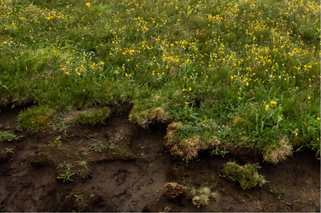 帐篷满天飞的视频,漫天飞舞的帐篷