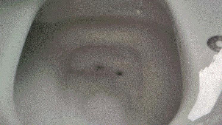 日系装修流程详细步骤详解,我的装修方案