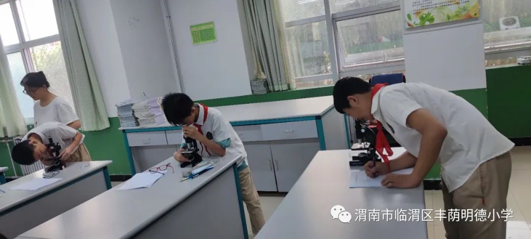 童心探索科学实验,童心探科学逐梦创未来一等奖