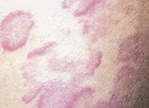 安美铝箔冲压油,安美长效抗磨润滑油