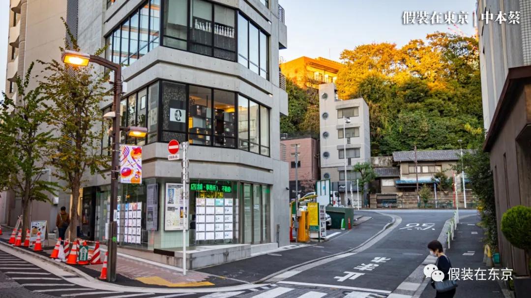 365张照片回顾,365张相片