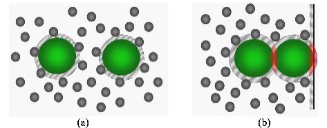 软物质与生物物理研究什么,物理学的前沿学科
