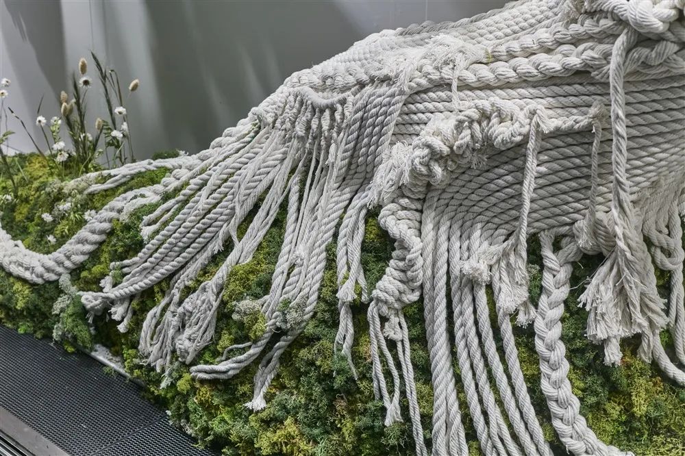 CanadaGoose2022年夏季伦敦最新橱窗设计