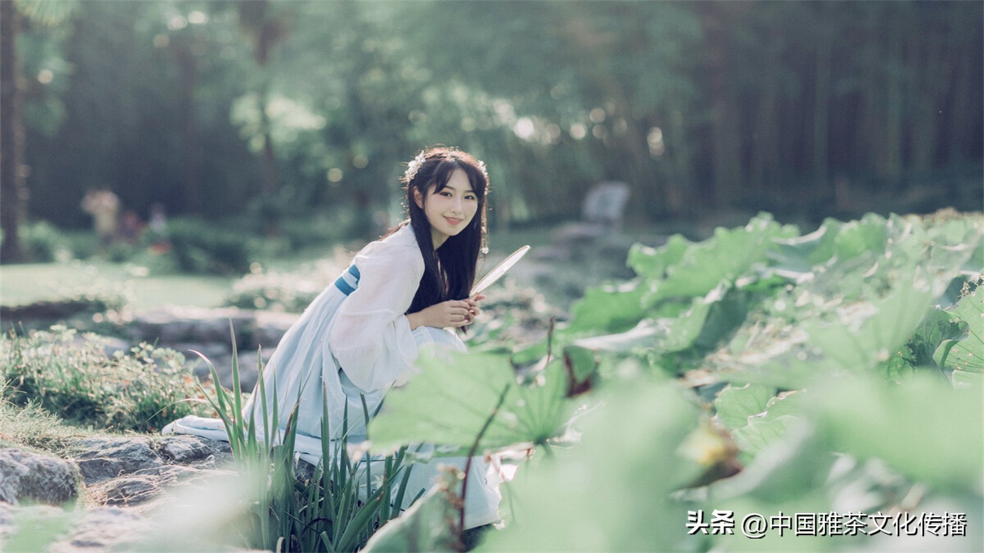几缕茶香,一壶清茶几缕阳光几分优雅