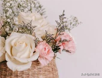 它是对女性最好的“养肝花”！经常用一点，情绪好了、月经好了、斑都少了！