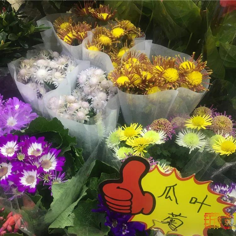 京南永清花卉批发市场,京南花卉批发市场