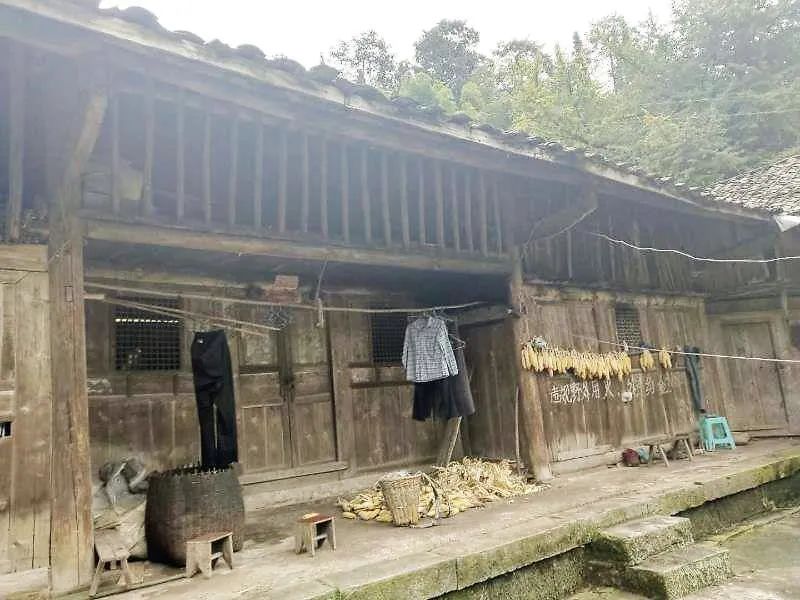 授村以公路，更授村以“通路”——中国建材集团扎实开展5区县产业帮扶助力美丽乡村建设的丰富实践