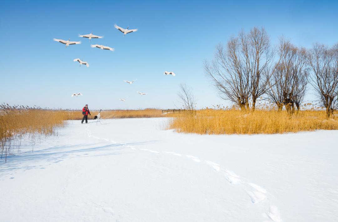 癌胚抗原升高3倍，你真正该在意的是这几点