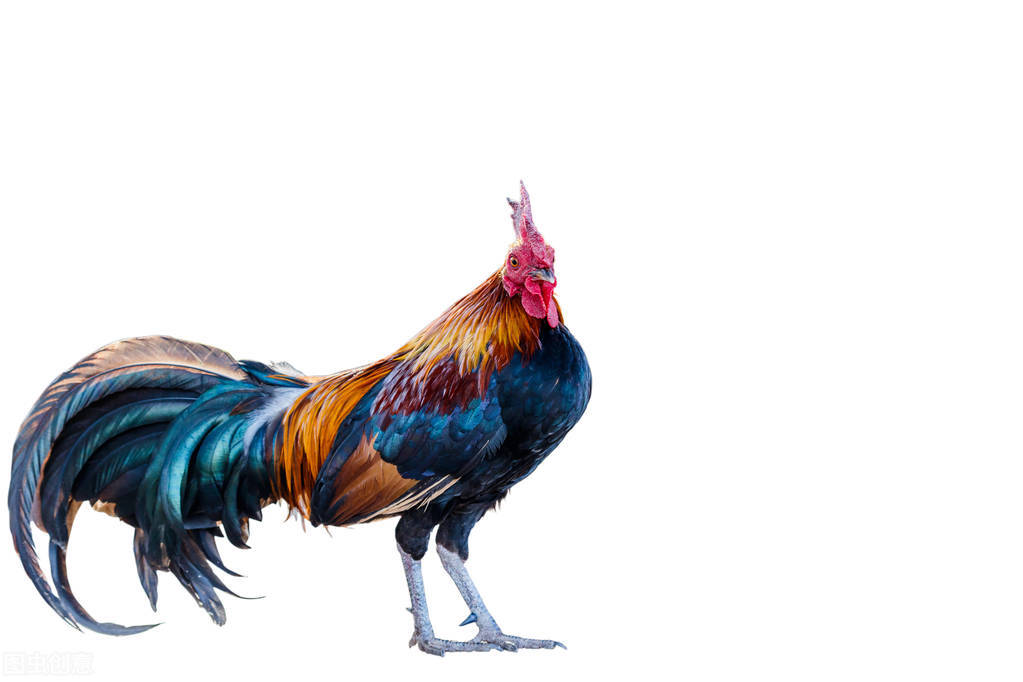 我与小偷的故事,我和小偷擦肩而过作文