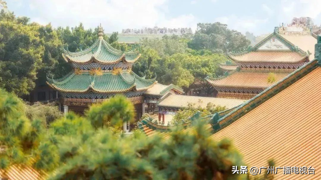 广州动物园门票周末半价,广州哪些旅游景点门票免费