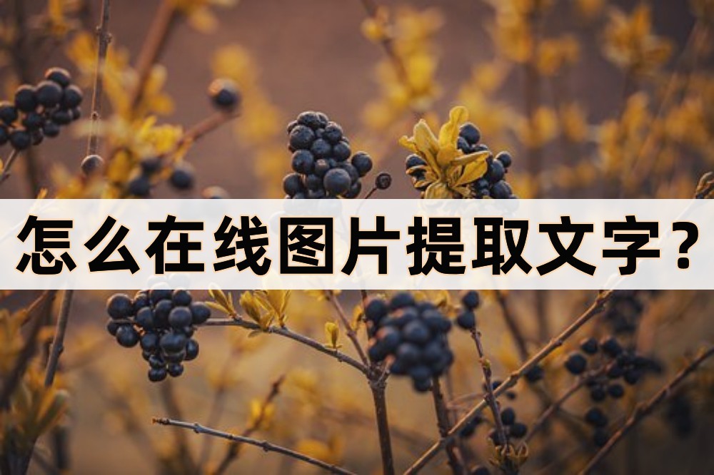 免费的识别图片提取文字的软件,图片怎么转文字在线识别