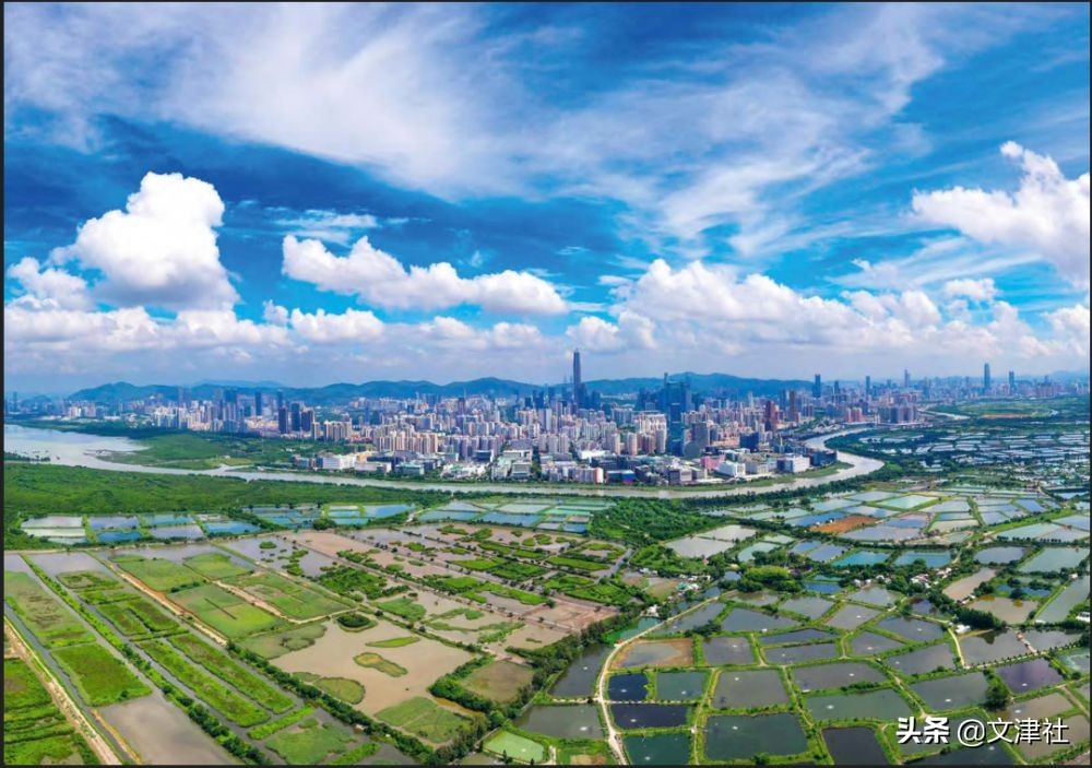 奋进虎年虎力全开，为何说江苏省是近期中国焦点地区？