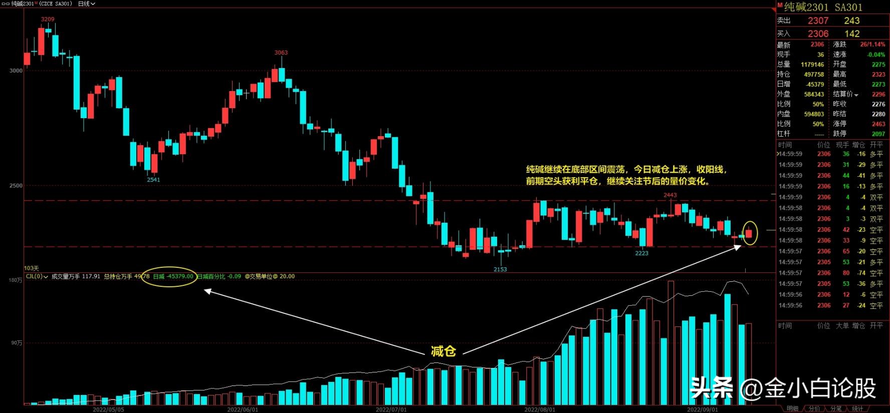 期货日报最新资讯论坛,期货日报回放
