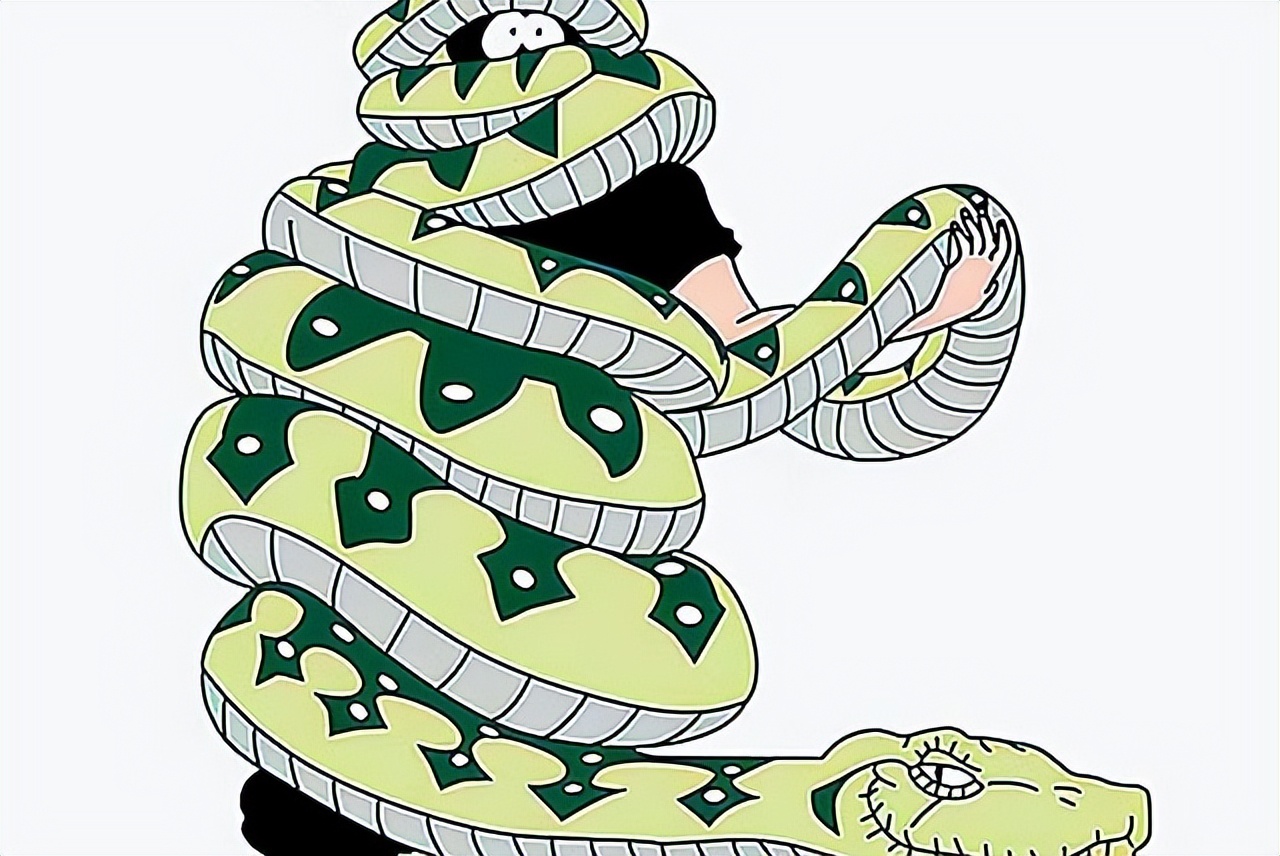 96年海南巨蟒报恩是真实的事吗,96年海南巨蟒为报恩甘愿当保姆