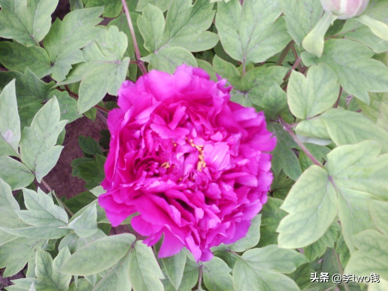 1987年-1989年流行的、比较火、超级好听的歌单（个人觉得）