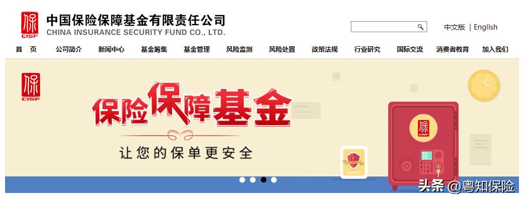 保险公司破产已购保单如何处理,保险公司破产保单纠纷