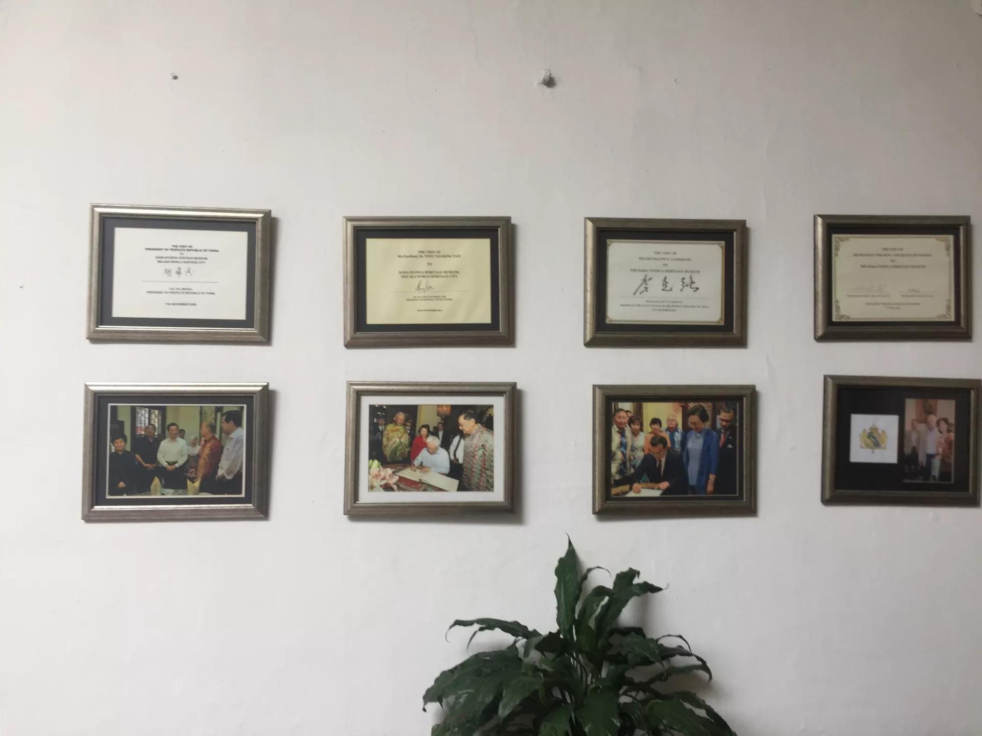 钱猫猫王者荣耀,钱猫猫的视频