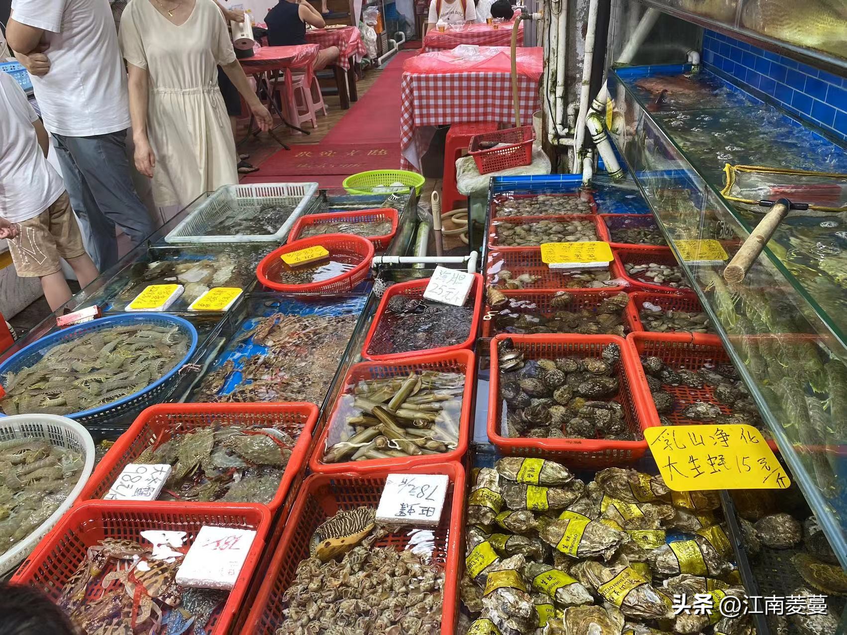 为什么那么多人选择去厦门旅游,浙江海岛和厦门哪里值得去