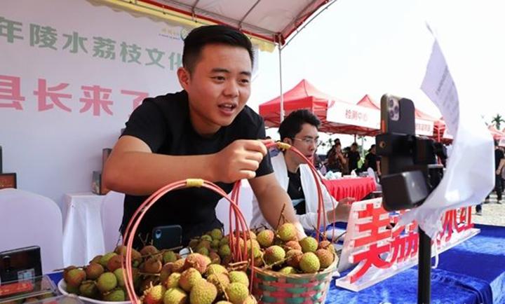 妃子笑荔枝破价预售,妃子笑荔枝一颗卖出天价