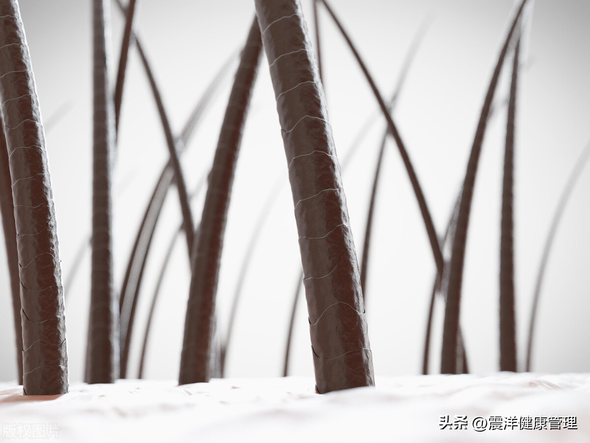 私密处的毛毛有什么用？能剃吗？对人体有3种作用，涨知识