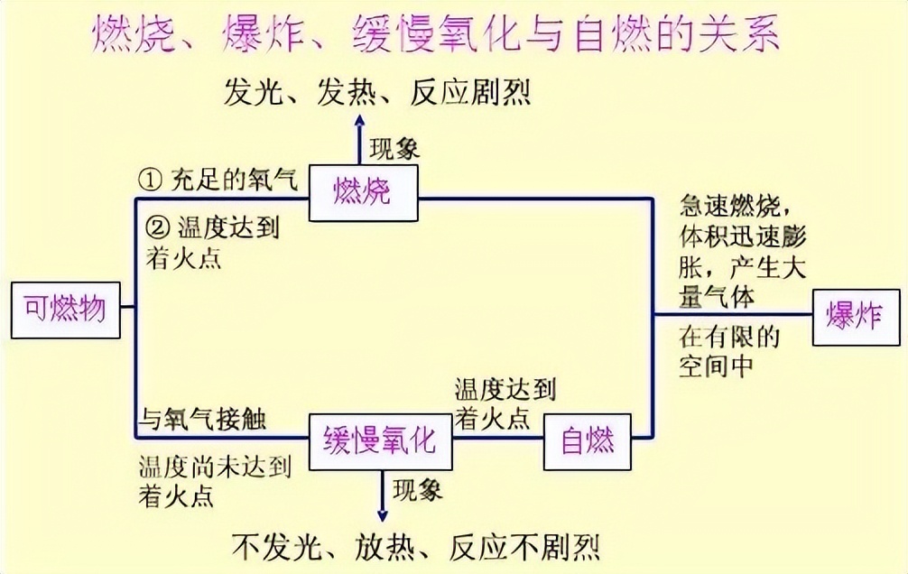 科学知识大全小学生必背,科学知识大全全集