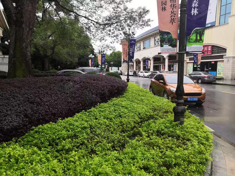 400多万在广州买别墅,在广东清远花400万买别墅