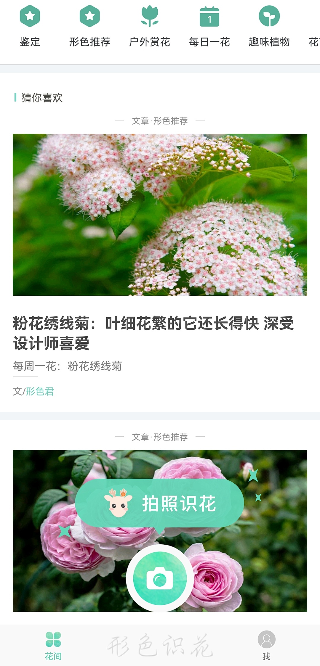 花艺推荐app,马克花艺学习小课堂