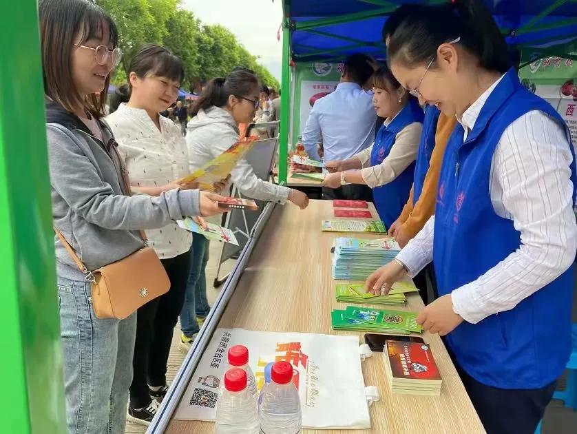 团团工作回顾,团团现在的工作