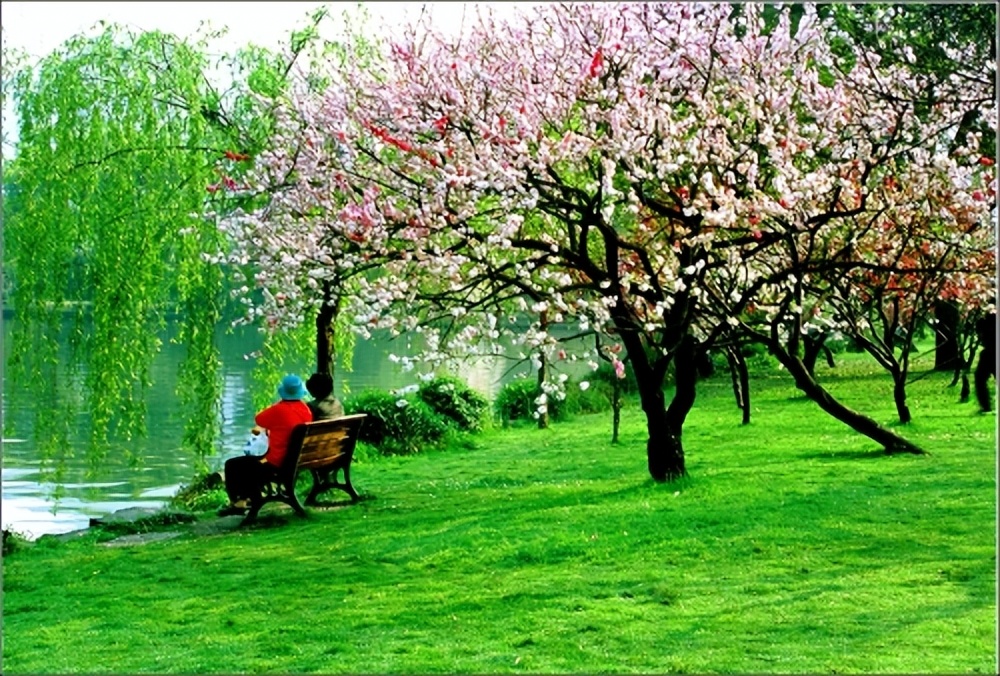 西湖美景再现许仙与白娘子,雷峰塔是杭州西湖最著名的景点