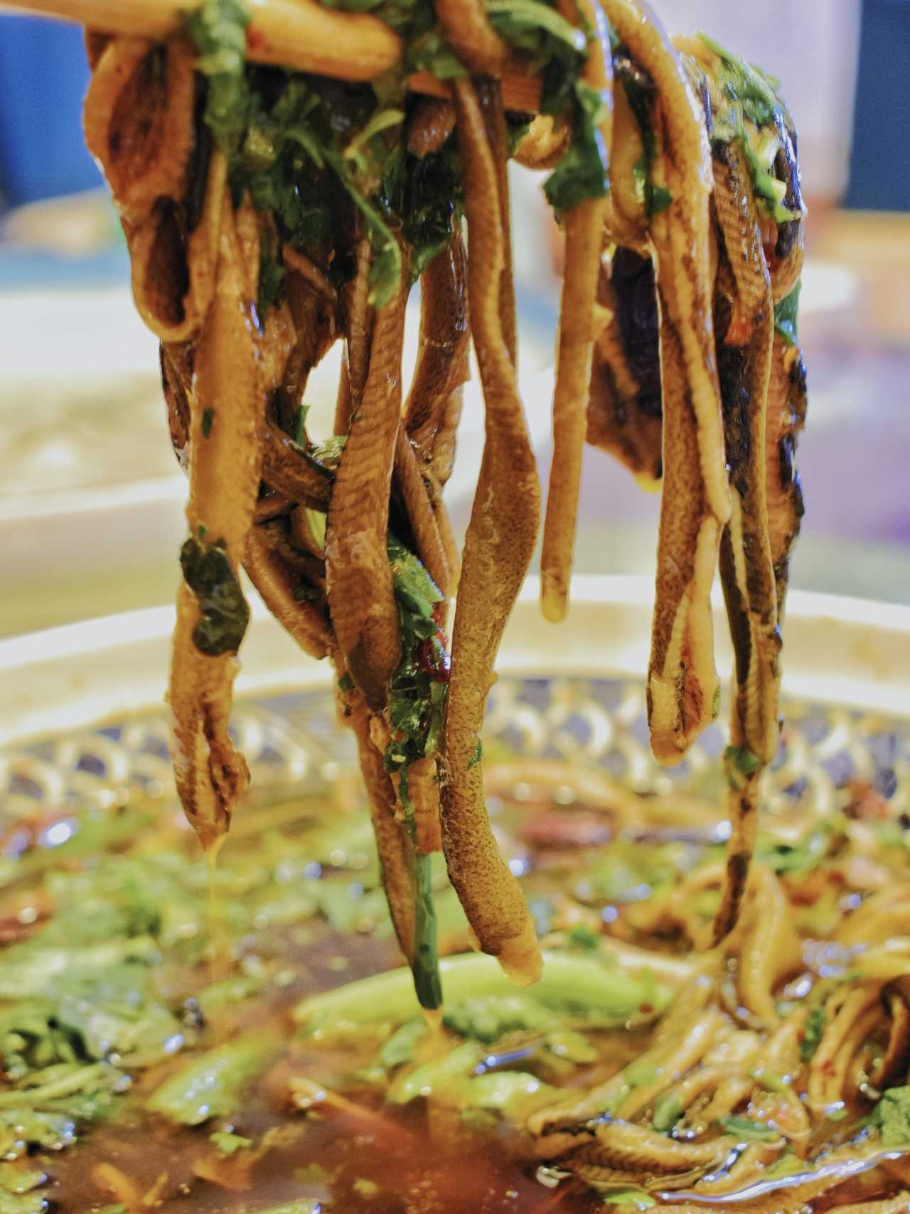 乐山异国风情打卡新去处,乐山游玩攻略及人文风情