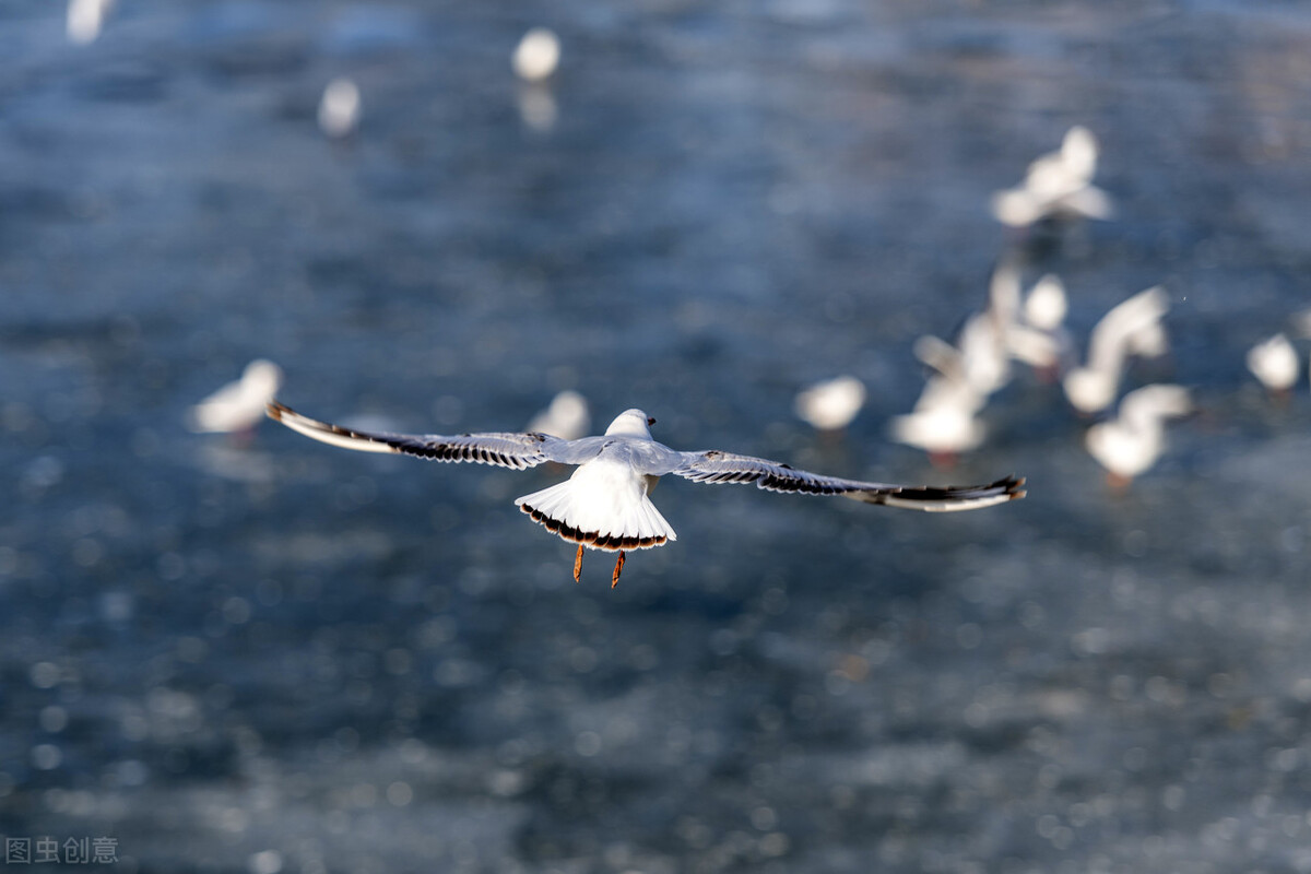 心理治疗能治疗厌学症吗,心理医生怎么样治疗孩子厌学休学
