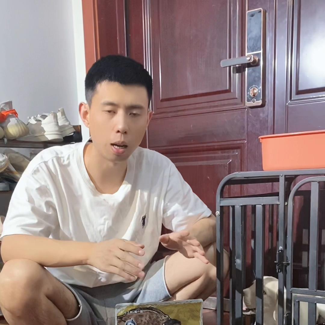 拉布拉多幼犬喂养的最佳方法,拉布拉多幼犬新手怎么喂