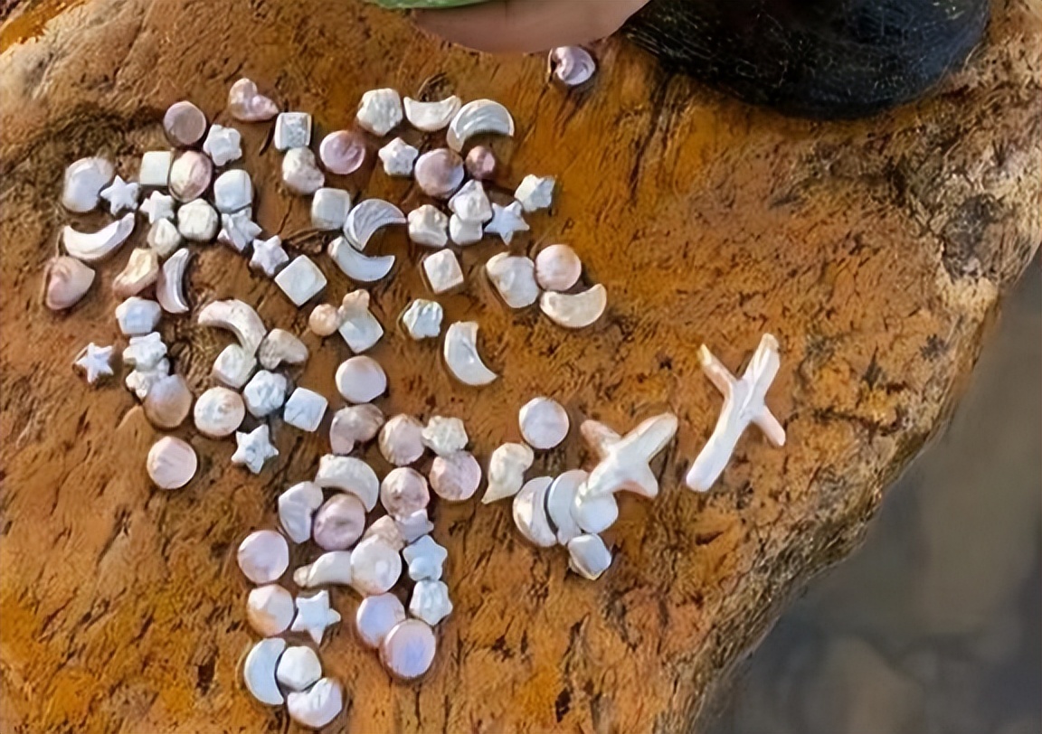 安徽女子吃到天价海螺珠,女子85元买椰子螺开出美乐珠