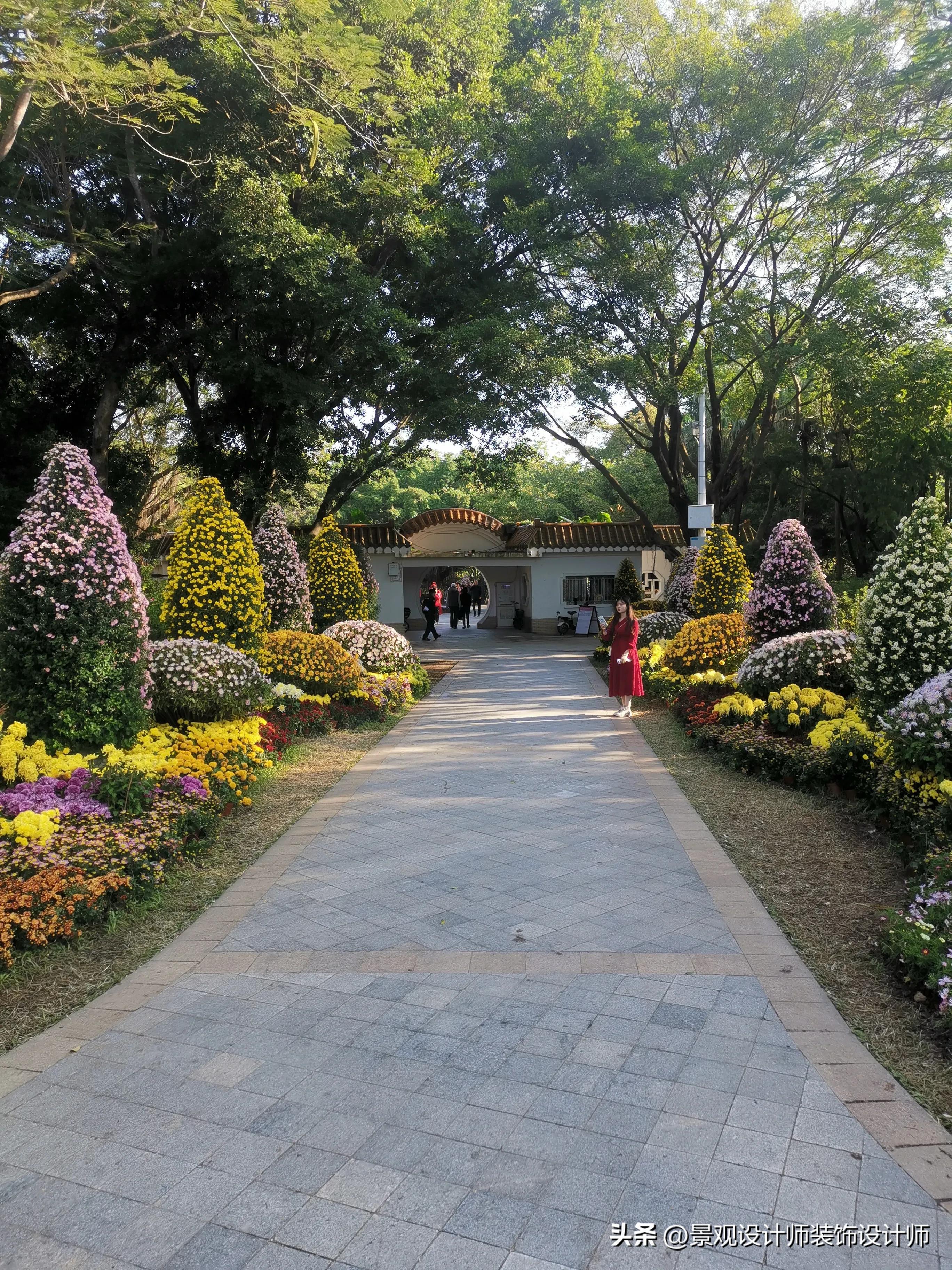 深圳市东湖公园广场舞,深圳市东湖公园收费标准