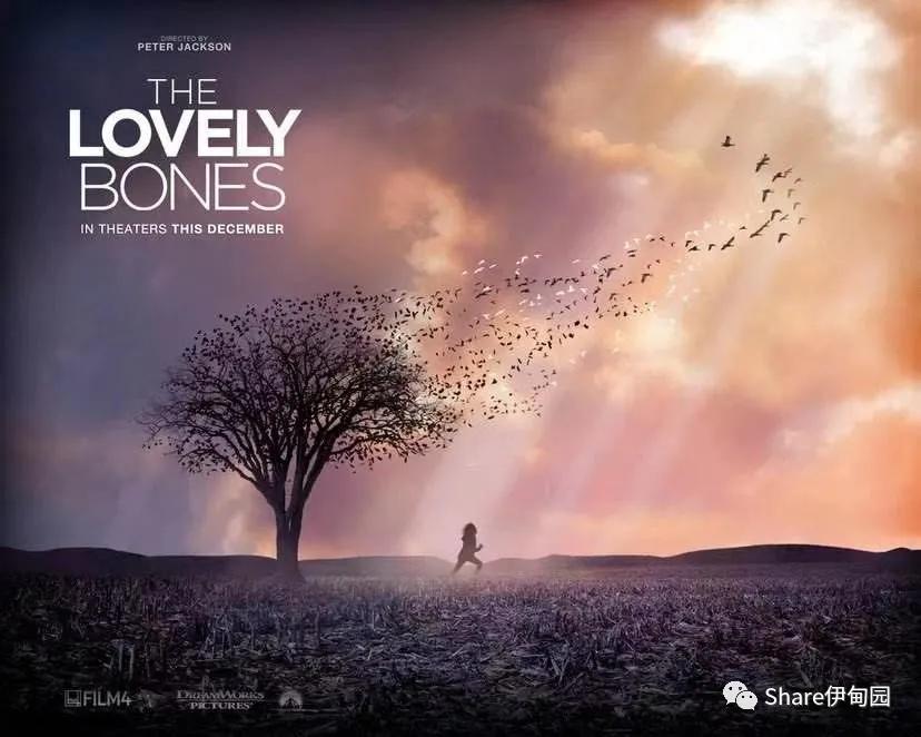 可爱的骨头英语版,可爱的骨头