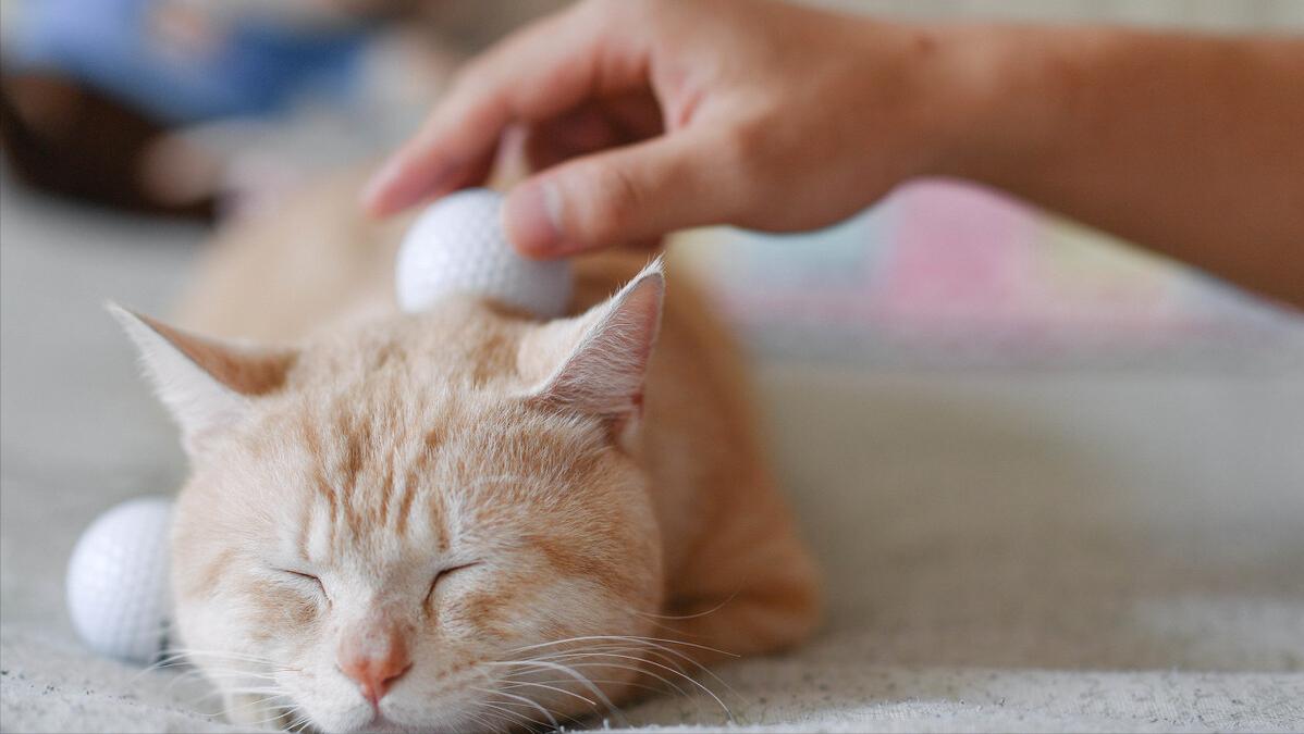 2022年有希望赚钱的3大行业，不比投资房子差，看你适合做哪行