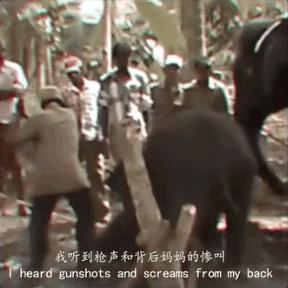 全网最近大事件,最大丑闻案件