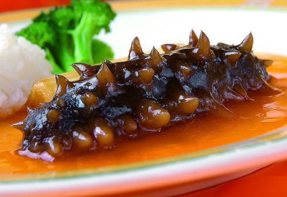 海参早餐的做法大全,早餐一个海参一个鸡蛋怎么样