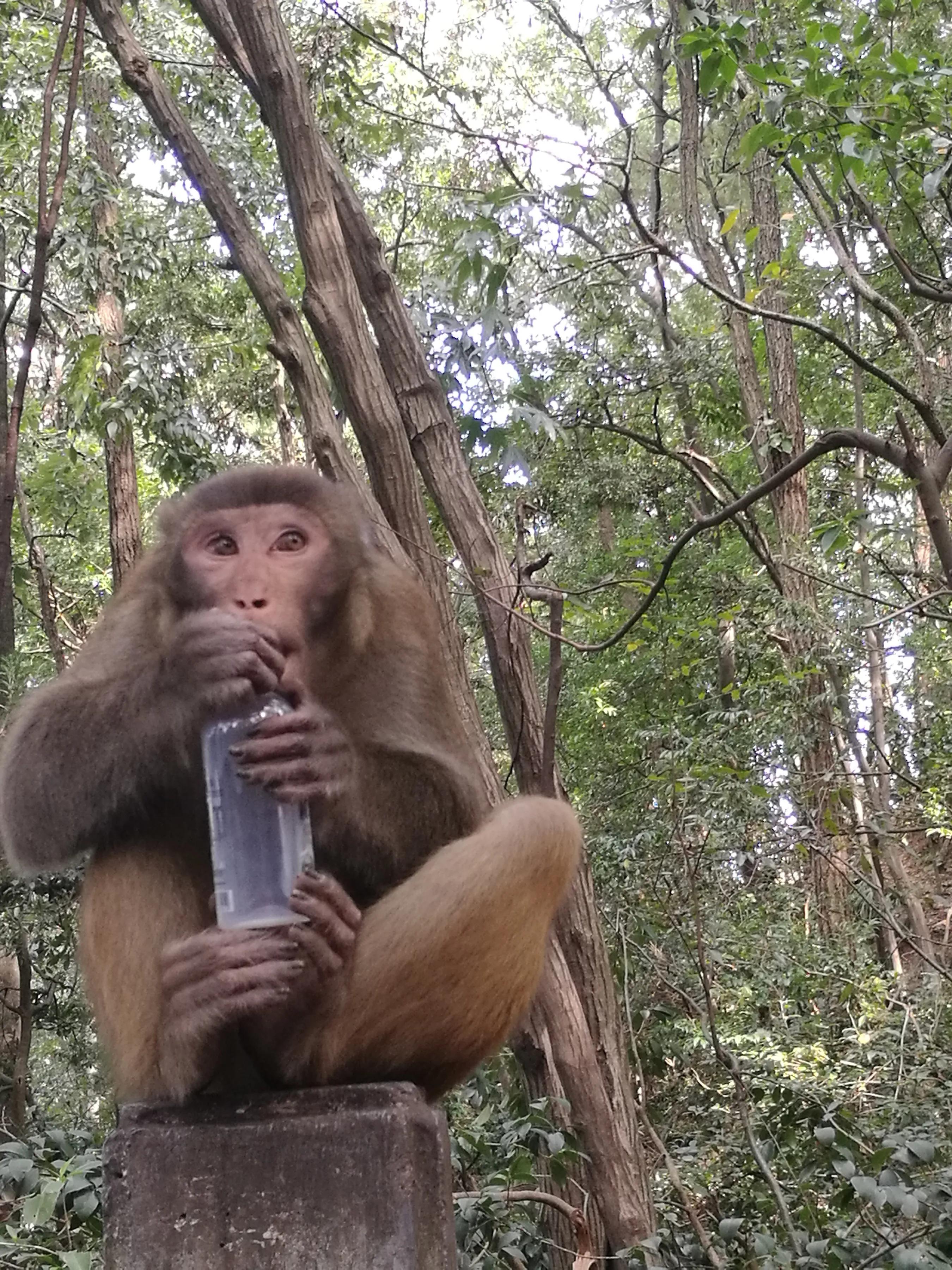 手拍世界近期作品,手拍世界完整版视频