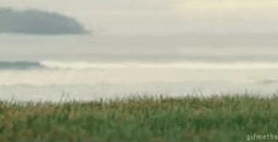 当一个侦探所必备的条件,当一名侦探具备哪些条件