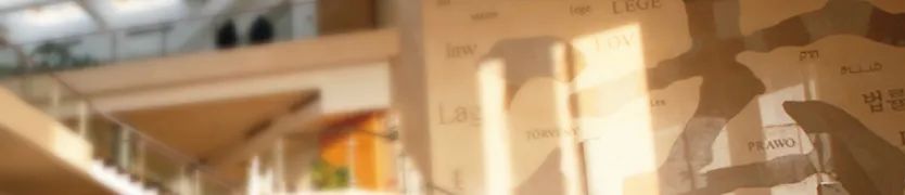 专题报告一:国家治理与行政法治|《行政处罚法》基本原则在地方性法规中的适用